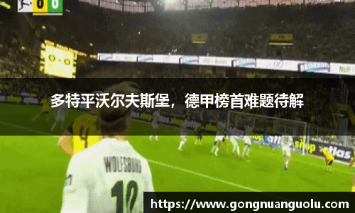多特平沃尔夫斯堡，德甲榜首难题待解